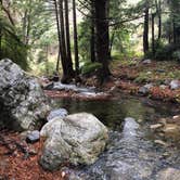 Review photo of Limekiln State Park Campground — TEMPORARILY CLOSED by Nina F., April 28, 2021