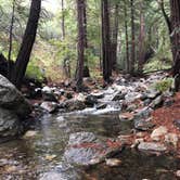 Review photo of Limekiln State Park Campground — TEMPORARILY CLOSED by Nina F., April 28, 2021