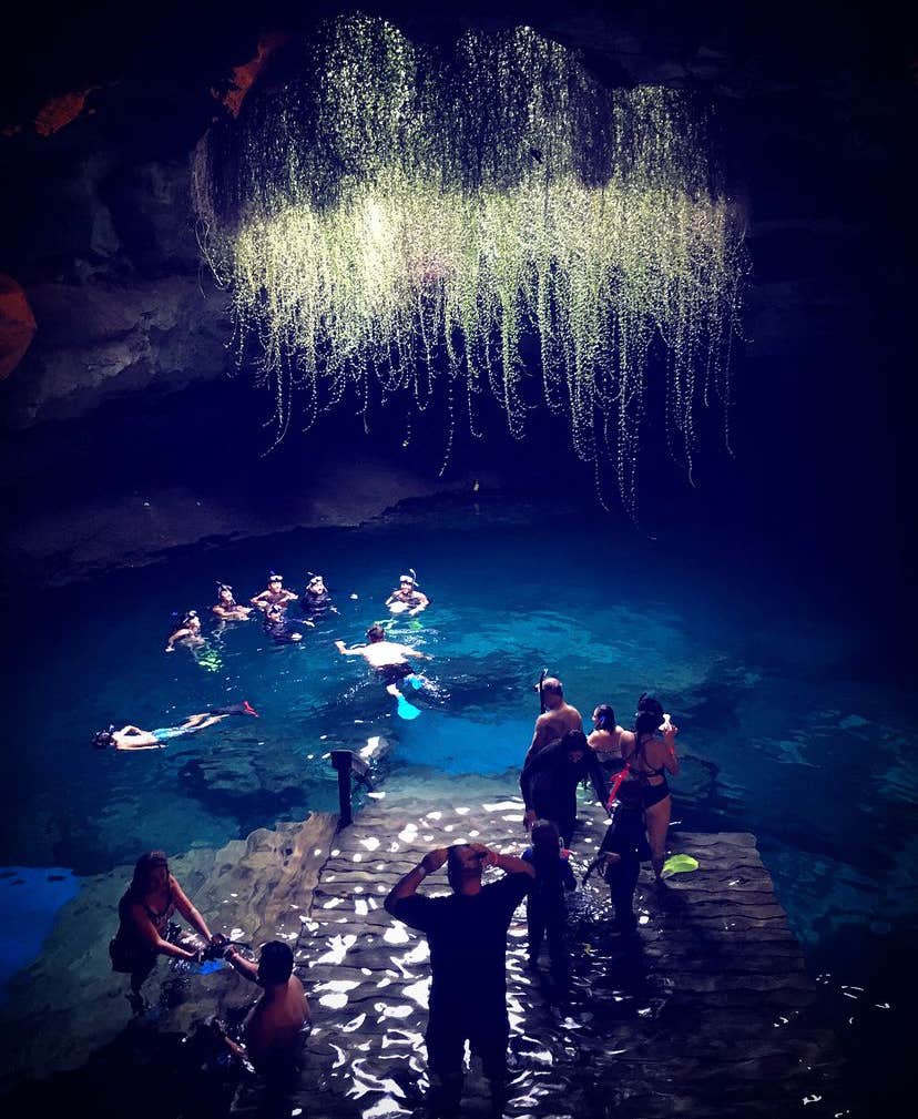 Devil's Den Spring | The Dyrt