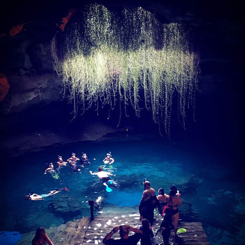 Devil's Den Spring | The Dyrt