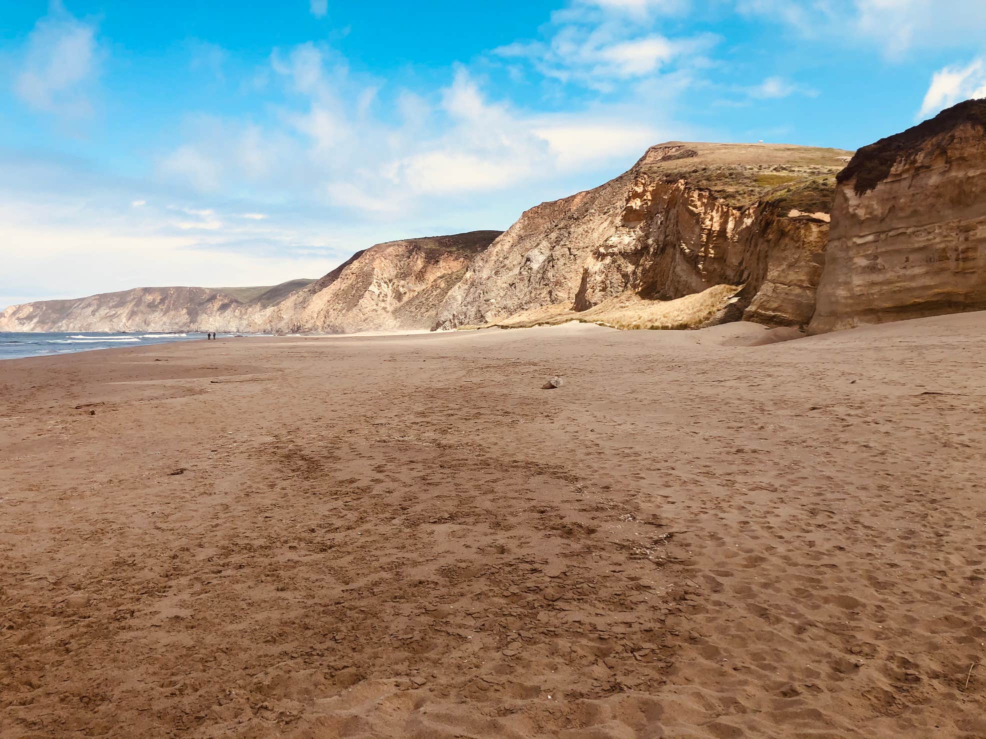 Sandy bluffs at Point Reyes National Seashore near Olema Campground