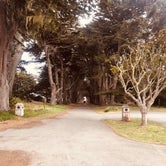 Review photo of Olema Campground by Travis C., April 28, 2021