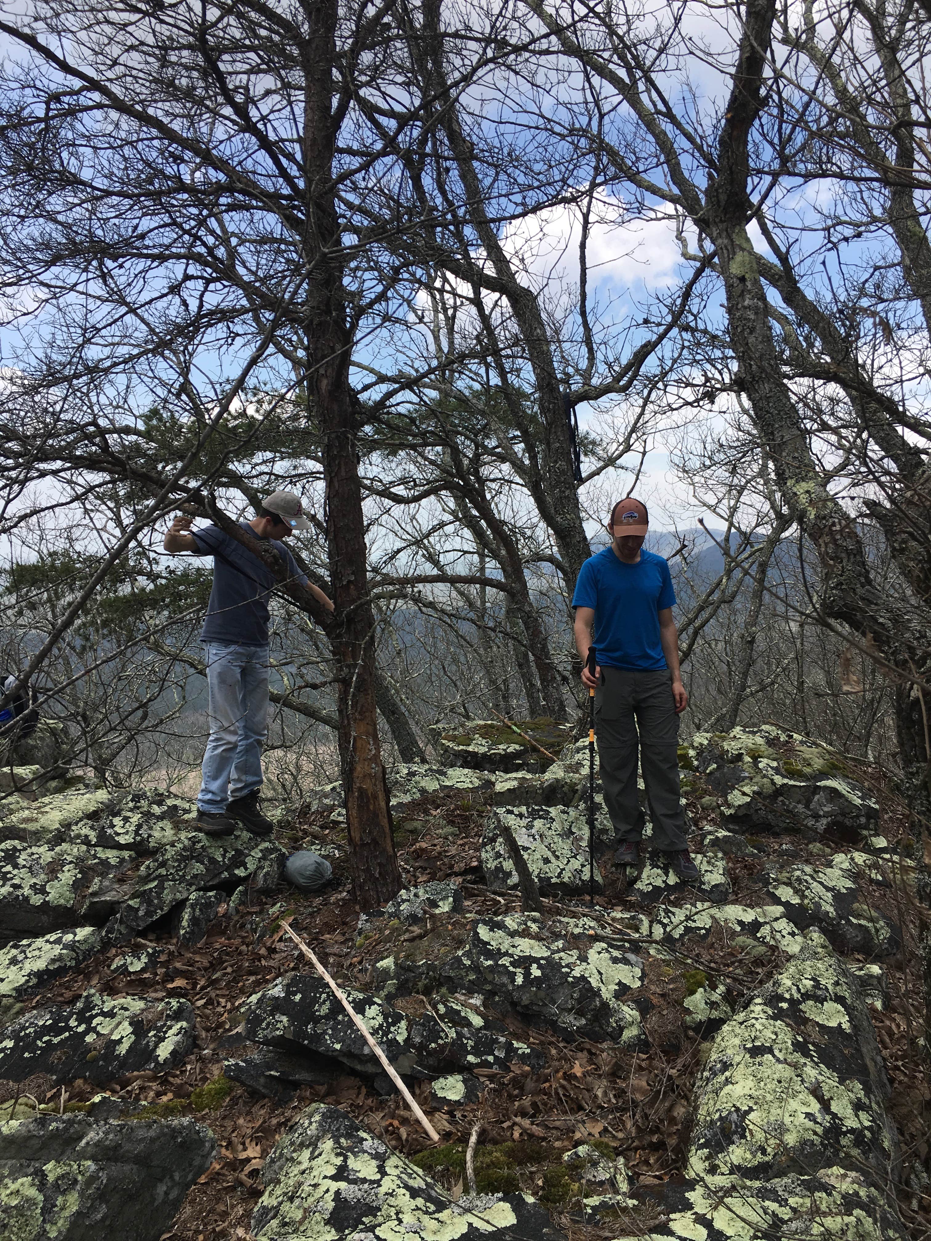 Camper-submitted photo at Skyway Loop Hidden Campground near Lineville, AL