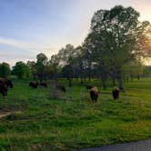 Review photo of Hillman Ferry Campground by Jessica H., April 28, 2021