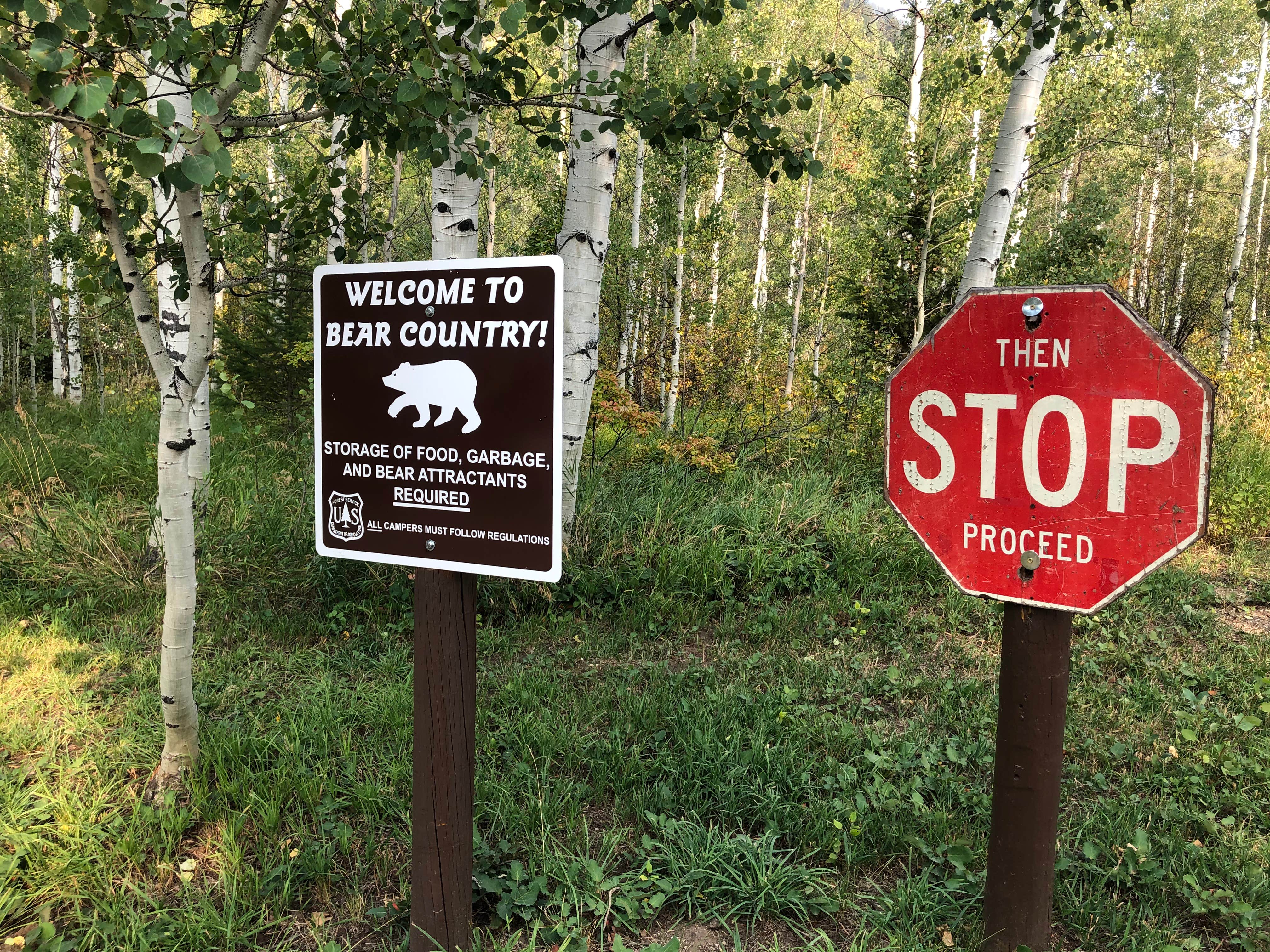 Best Dispersed Camping In White River National Forest The Dyrt