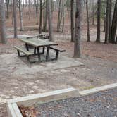 Review photo of Daisy State Park Campground by Crystal C., April 28, 2021