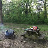 Review photo of Harmonie State Park Campground by Allie F., April 28, 2021