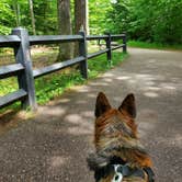 Review photo of Lower Falls Campground — Tahquamenon Falls State Park by Jack T., April 28, 2021