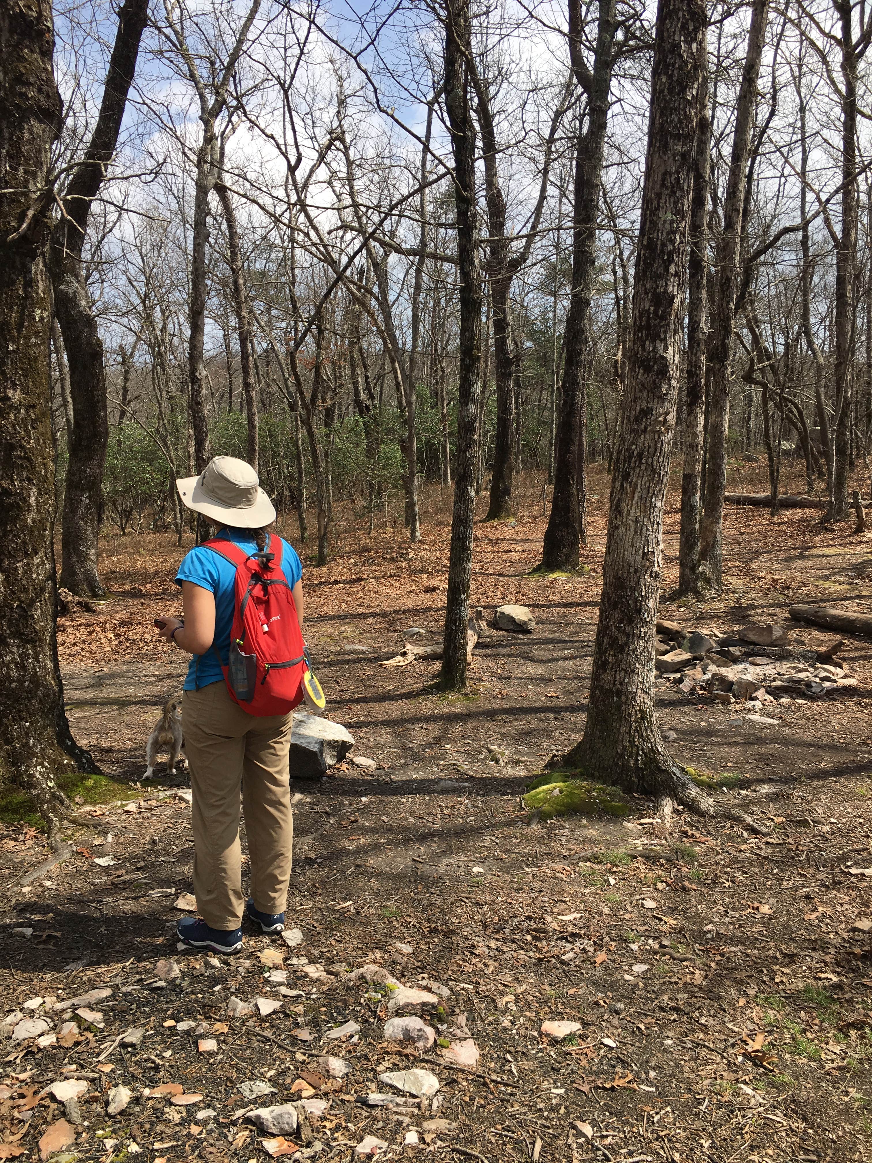 Camper submitted image from Skyways Loop Campground with view - 4