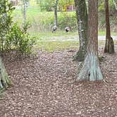Review photo of Disney’s Fort Wilderness Resort & Campground by Dianna F., April 28, 2021
