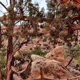 Review photo of Sun Outdoors Moab Downtown by Eric W., April 28, 2021