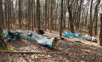 Leesha J.'s photo at Upper Improved Campground — Cheaha State Park in Alabama