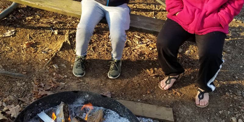 Camper submitted image from River Forks Park & Campground