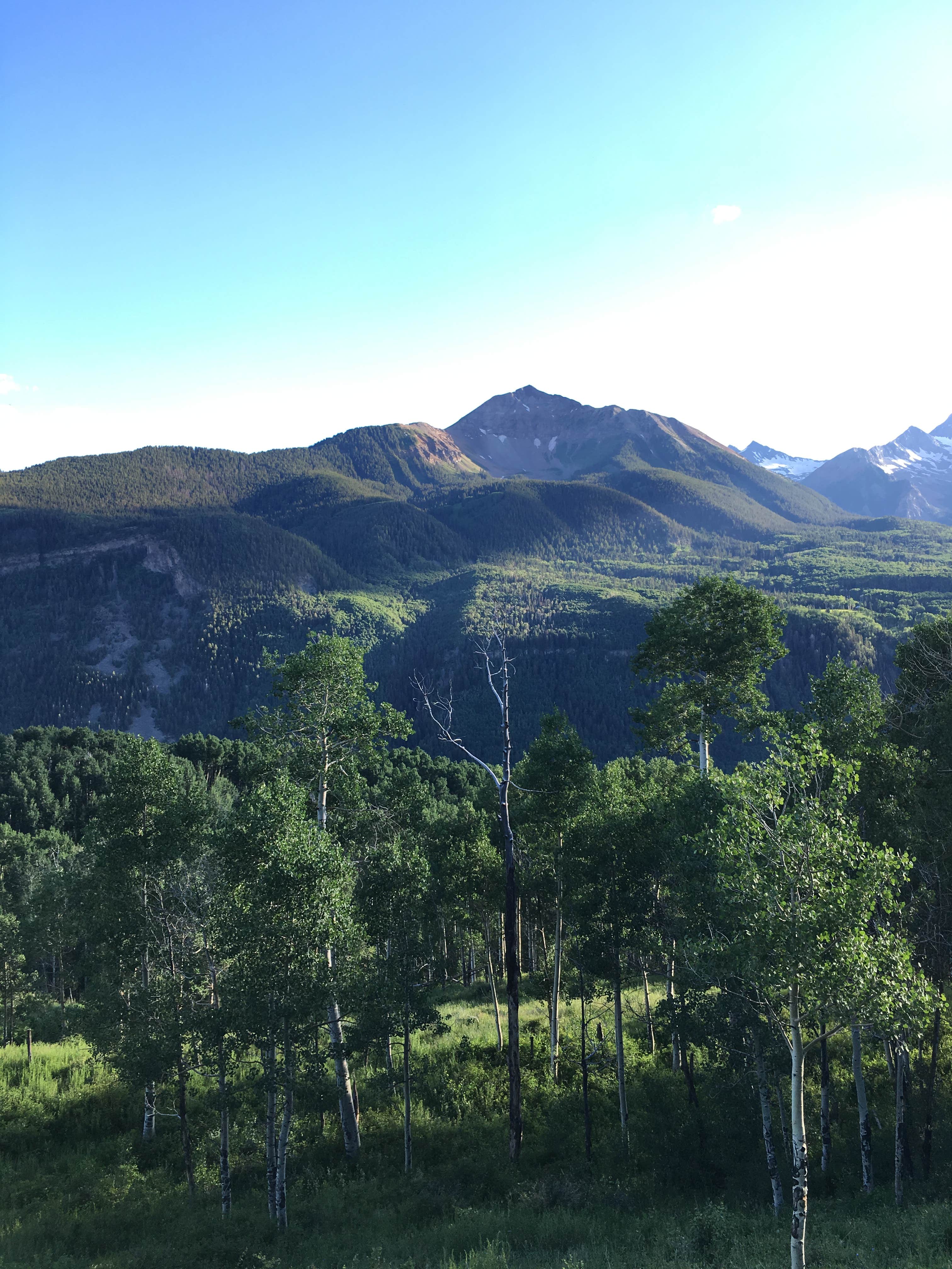 Camping near Matterhorn — Grand Mesa, Uncompahgre And Gunnison National Forest: Sunshine Campground, Telluride, Colorado