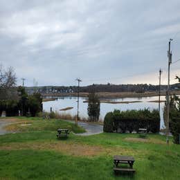 Cape Ann Camp Site