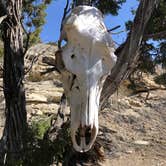 Review photo of Arkansas Point Campground — Lake Pueblo State Park by Lee D., April 28, 2021