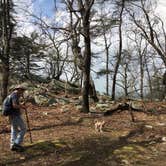 Review photo of Small Skyway Loop Campground by Asher K., June 1, 2018