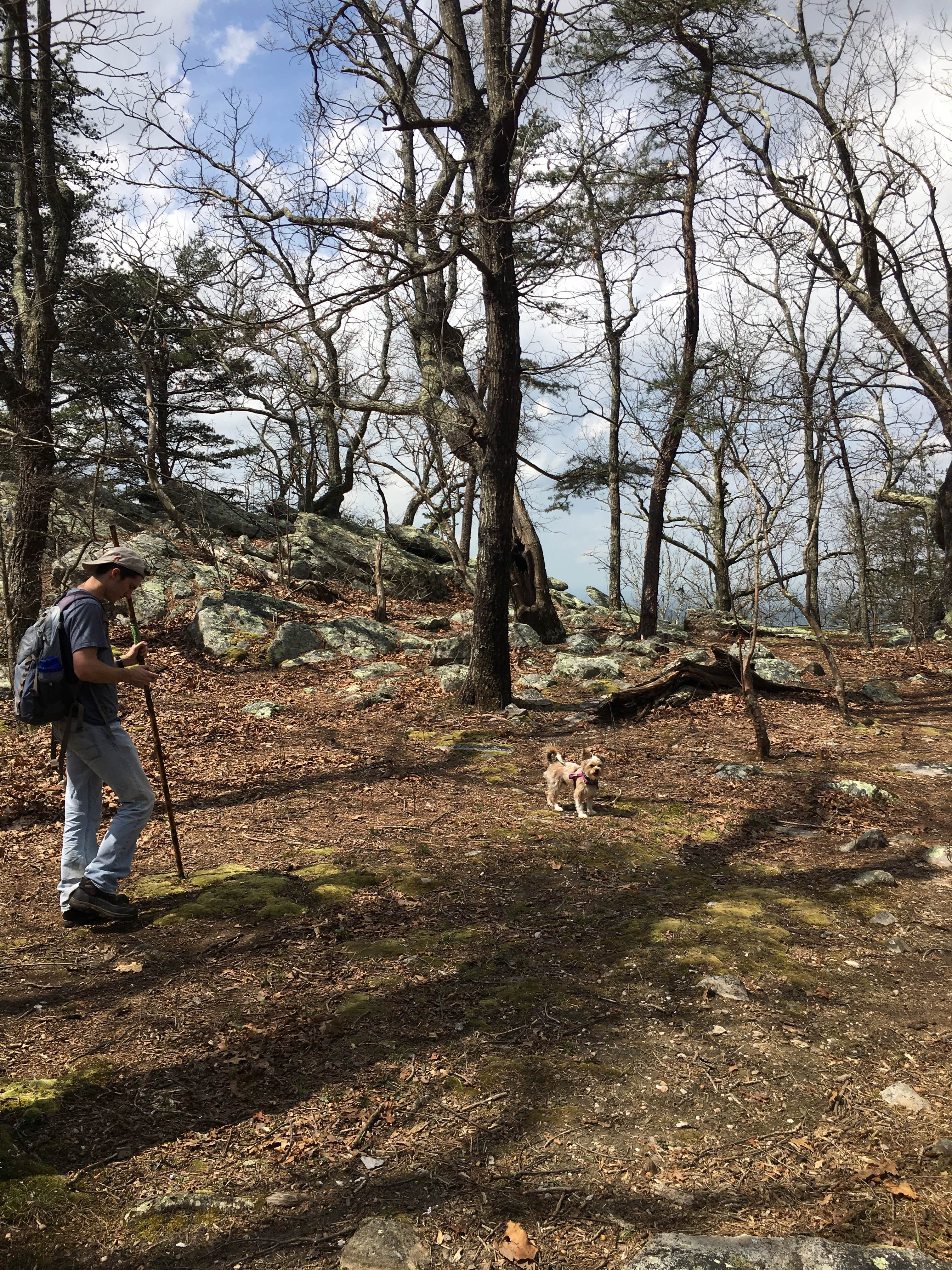 Camper submitted image from Small Skyway Loop Campground - 5