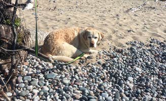 christina's photo of camping with pets at Woodland Park Campground near Grand Marais, MI