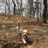 Review photo of Small Skyway Loop Campground by Asher K., June 1, 2018