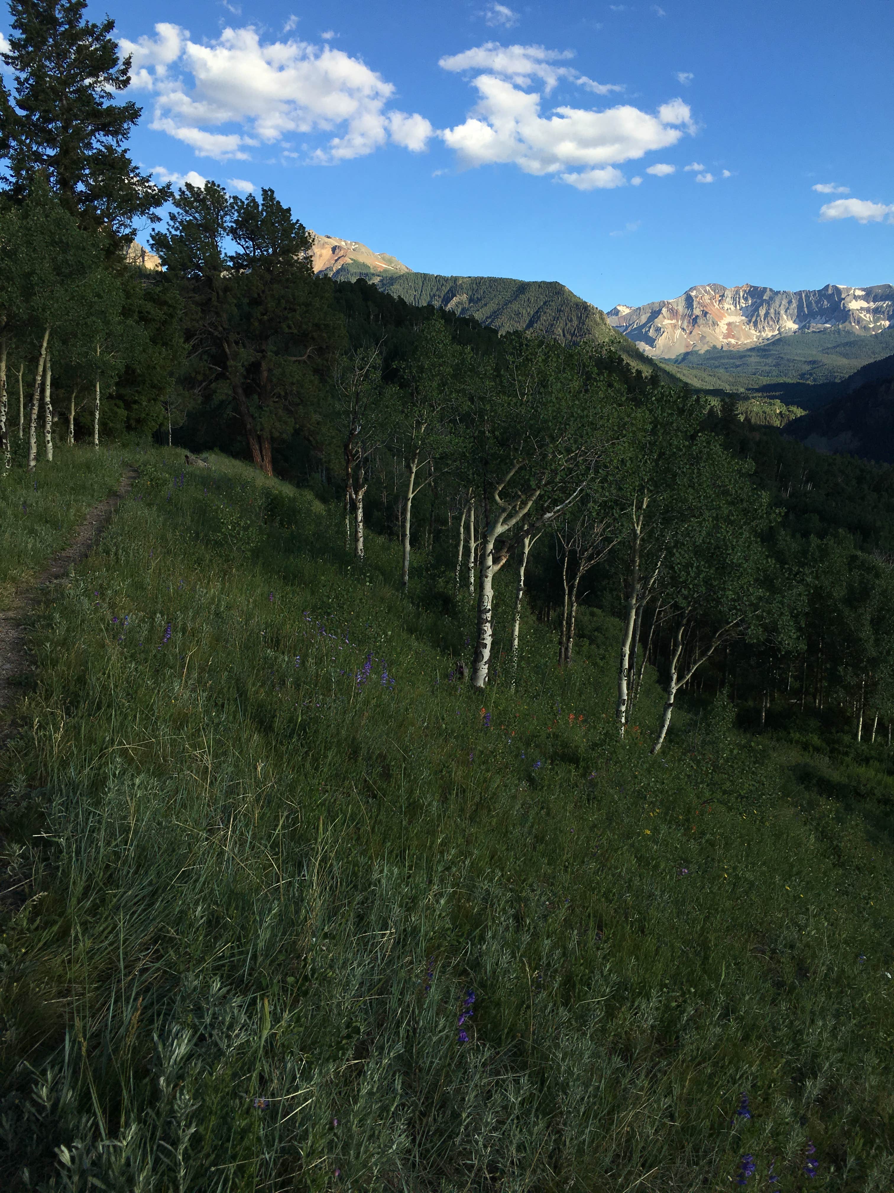 Camper-submitted photo at Sunshine Campground near Telluride, CO