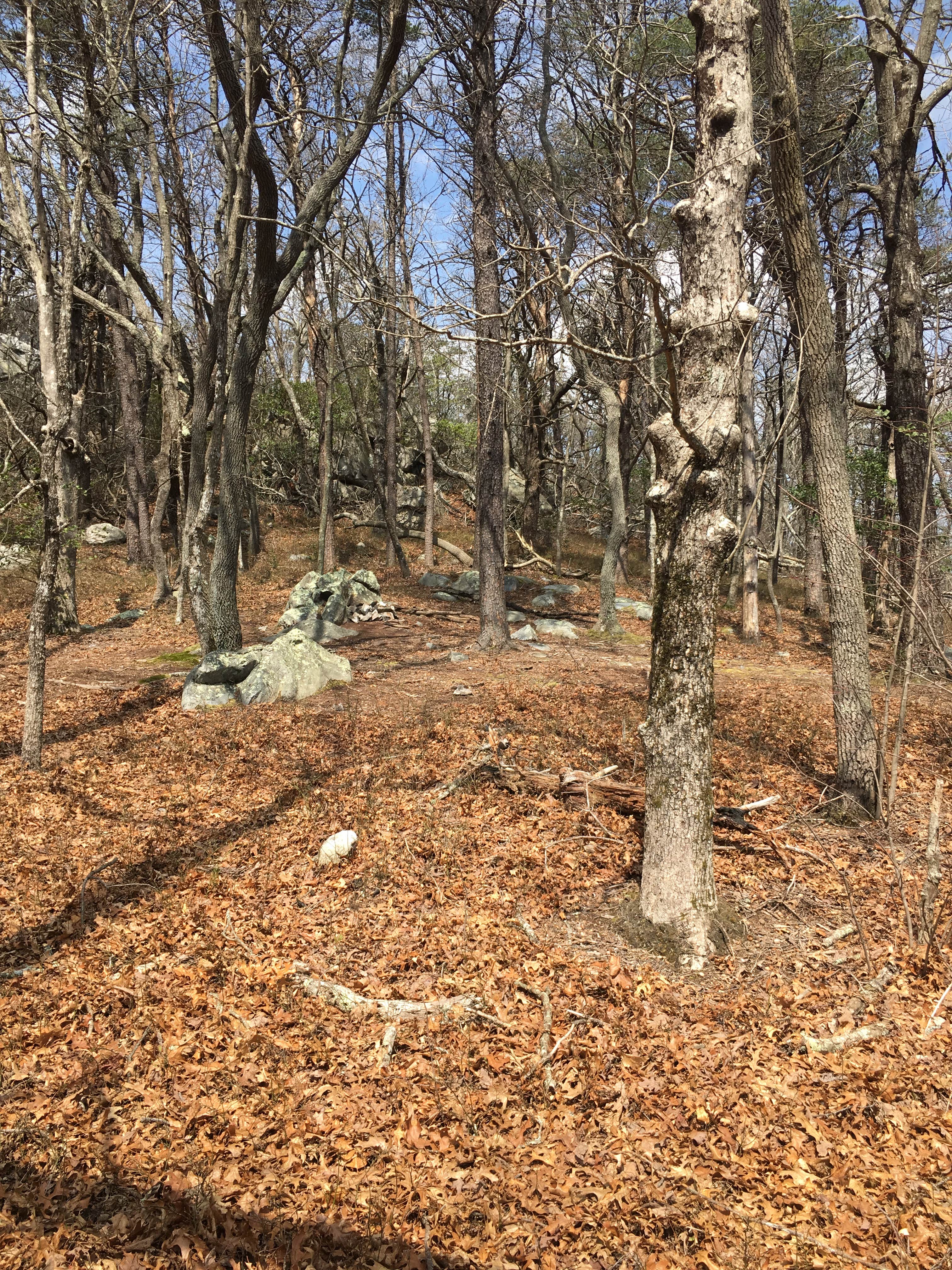 Camper submitted image from Small Skyway Loop Campground - 2