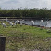 Review photo of Lake Toho RV Resort by Tina F., April 28, 2021