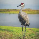 Review photo of Lake Toho RV Resort by Tina F., April 28, 2021