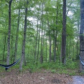 Review photo of Hard Labor Creek State Park Campground by Rich S., April 28, 2021