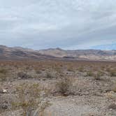 Review photo of Emigrant Campground — Death Valley National Park by Erik J., April 28, 2021