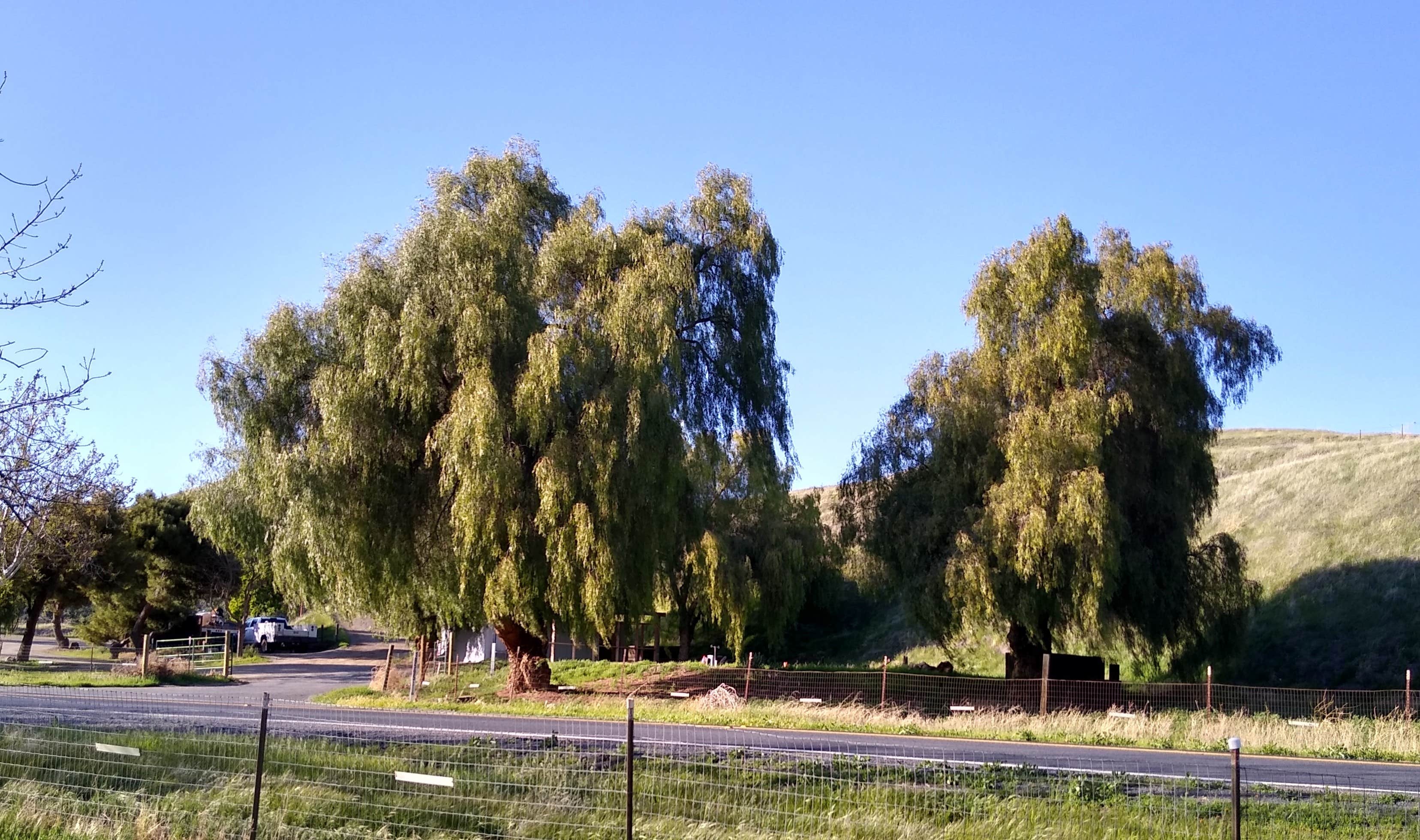 Camper-submitted photo at Carnegie State Vehicle Recreation Area near Tracy, CA