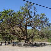 Review photo of Carnegie State Vehicle Recreation Area by Winnie K., April 28, 2021