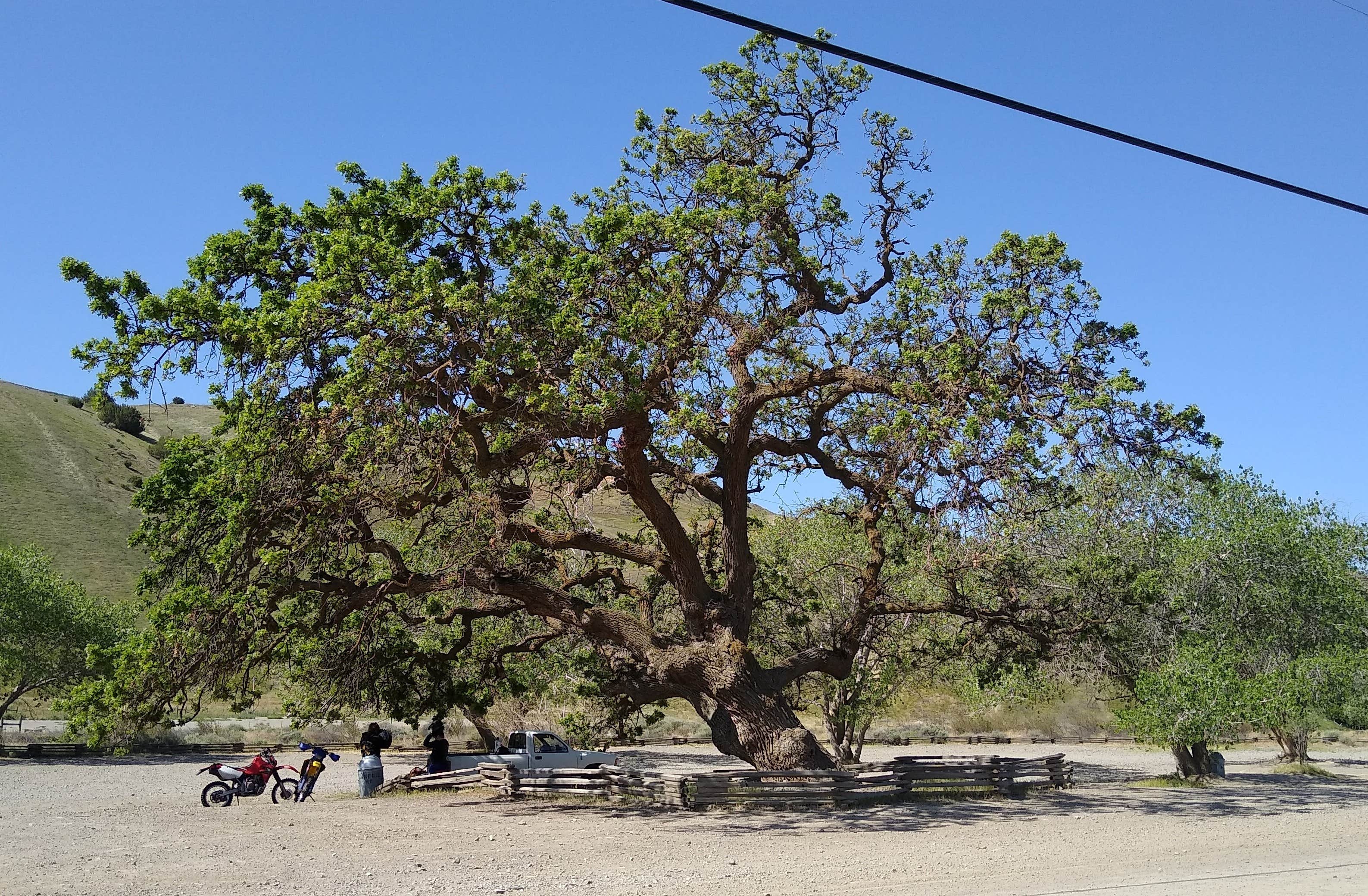 Camper submitted image from Carnegie State Vehicle Recreation Area - 5