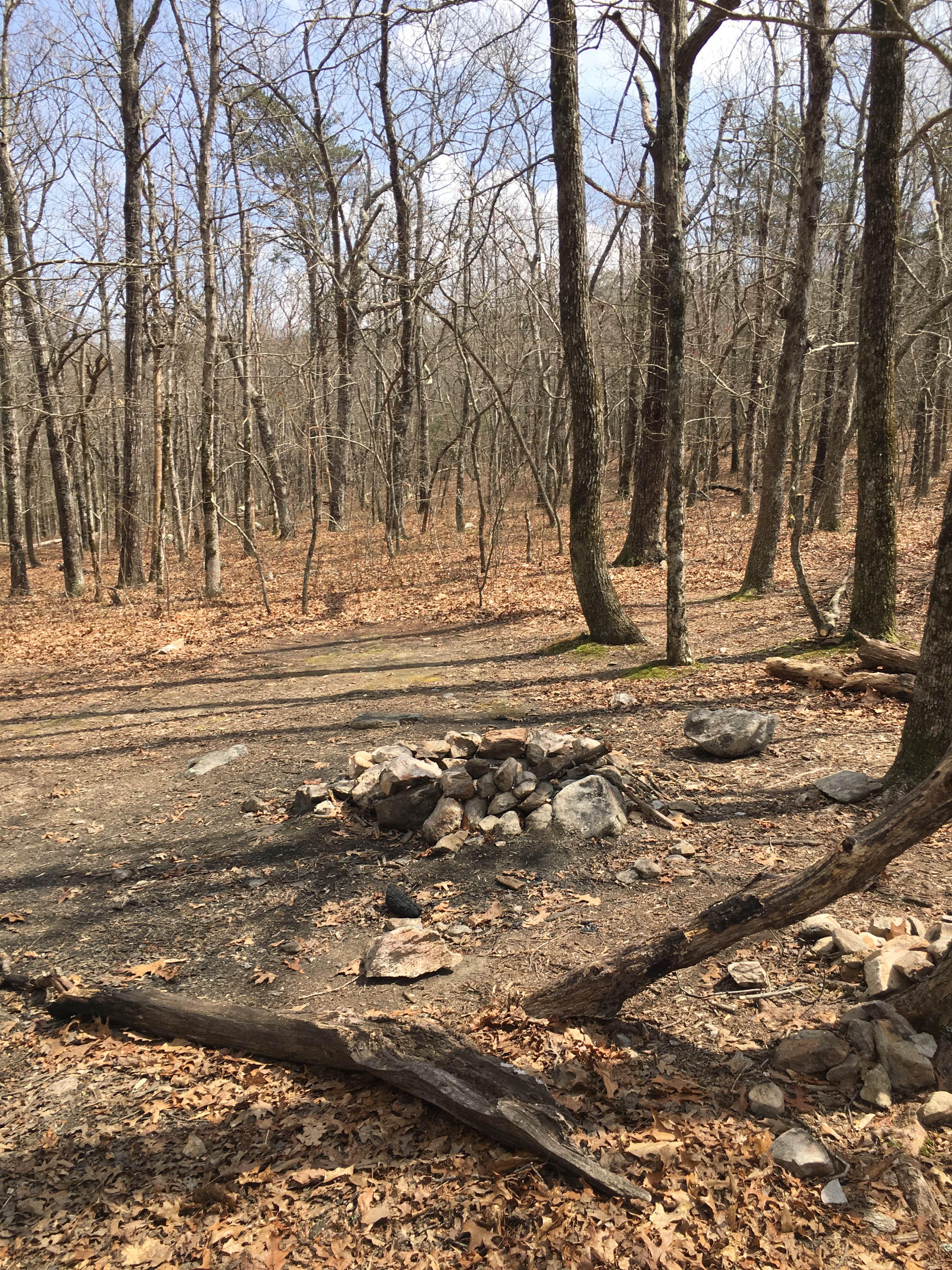 Camper-submitted photo at Skyway Loop Backcountry near Columbiana, AL