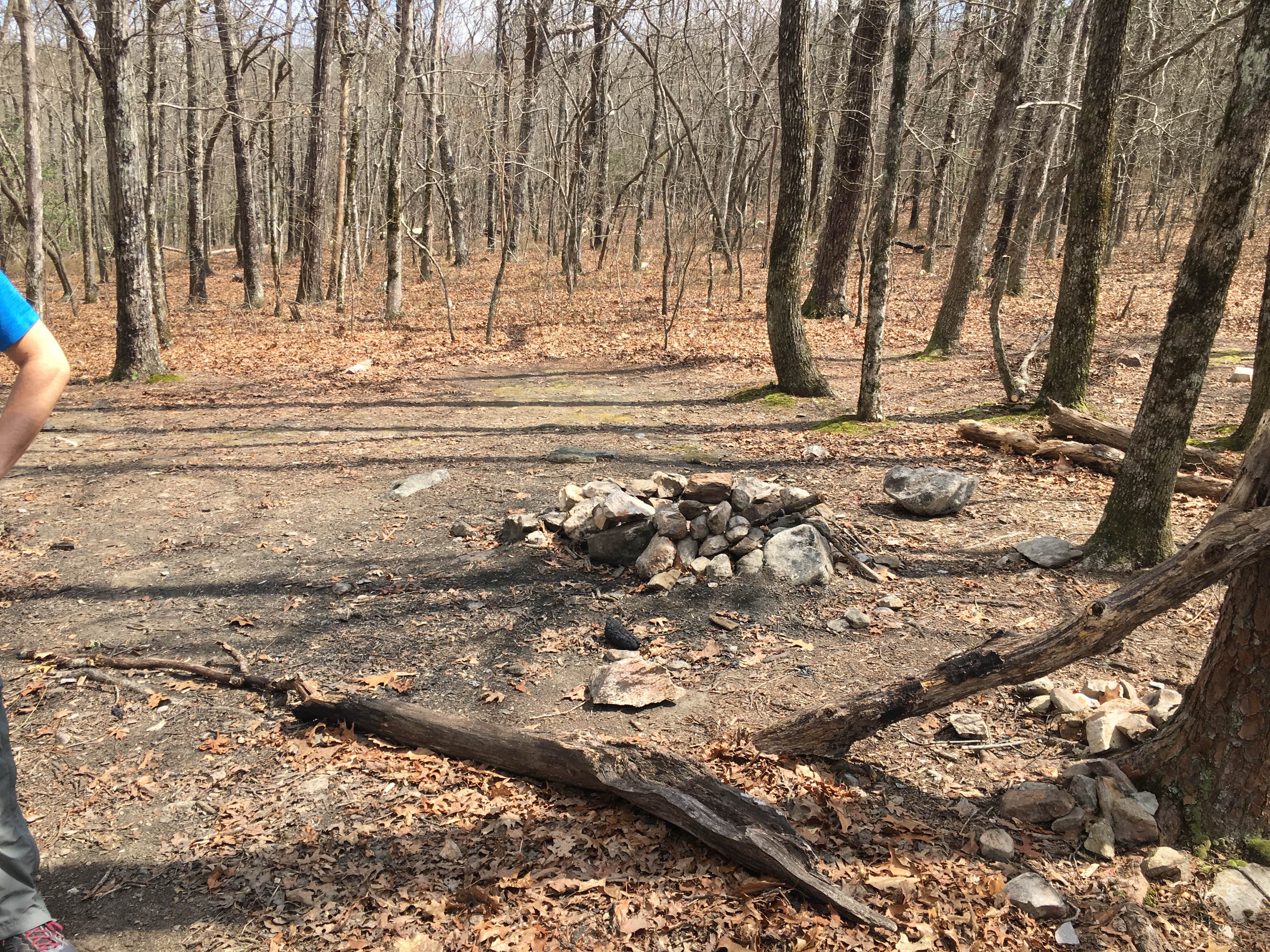Camper-submitted photo at Skyway Loop Backcountry near Columbiana, AL