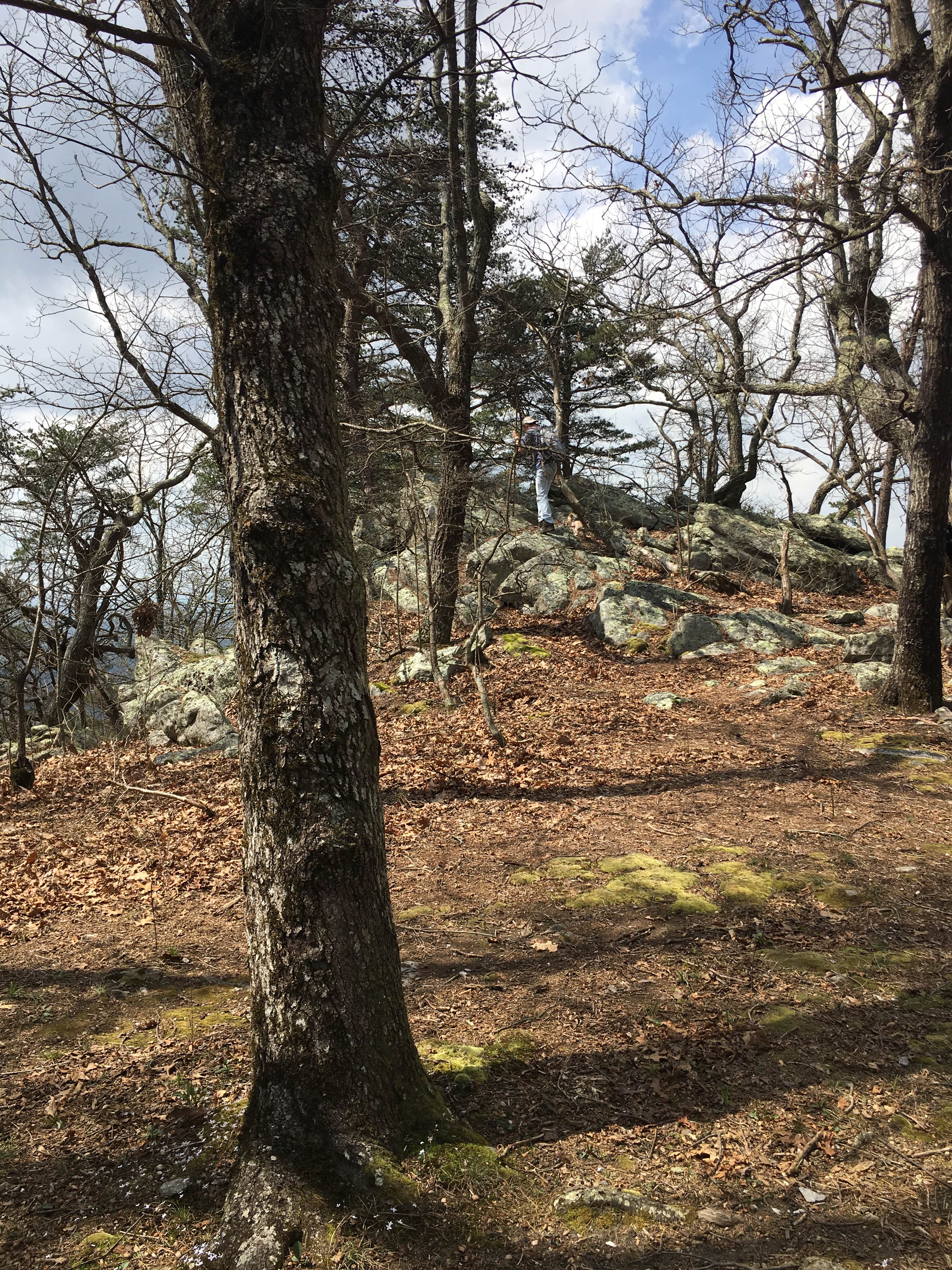 Camper-submitted photo at Skyway Loop Backcountry near Columbiana, AL