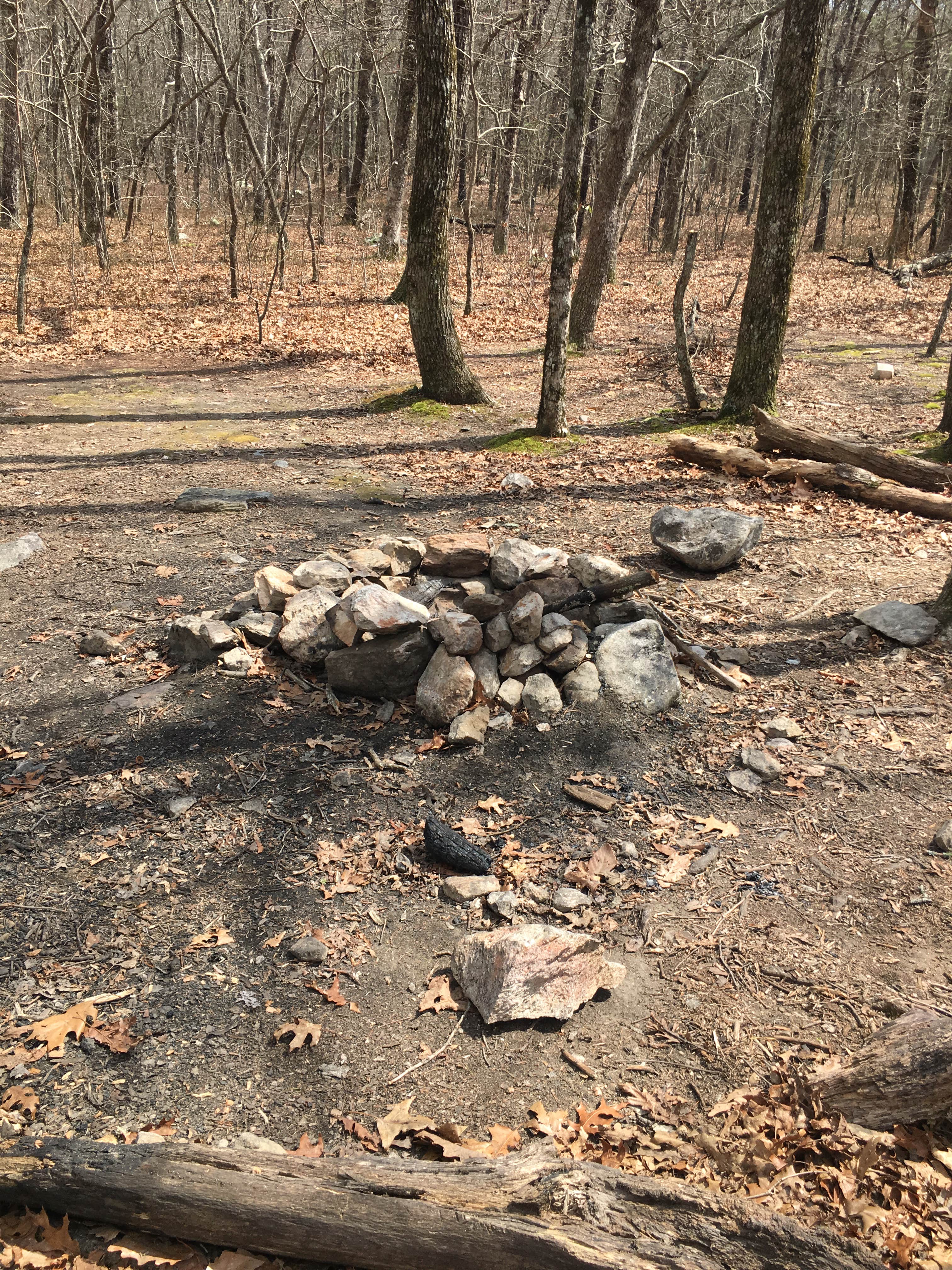 Camper-submitted photo at Skyway Loop Backcountry near Columbiana, AL