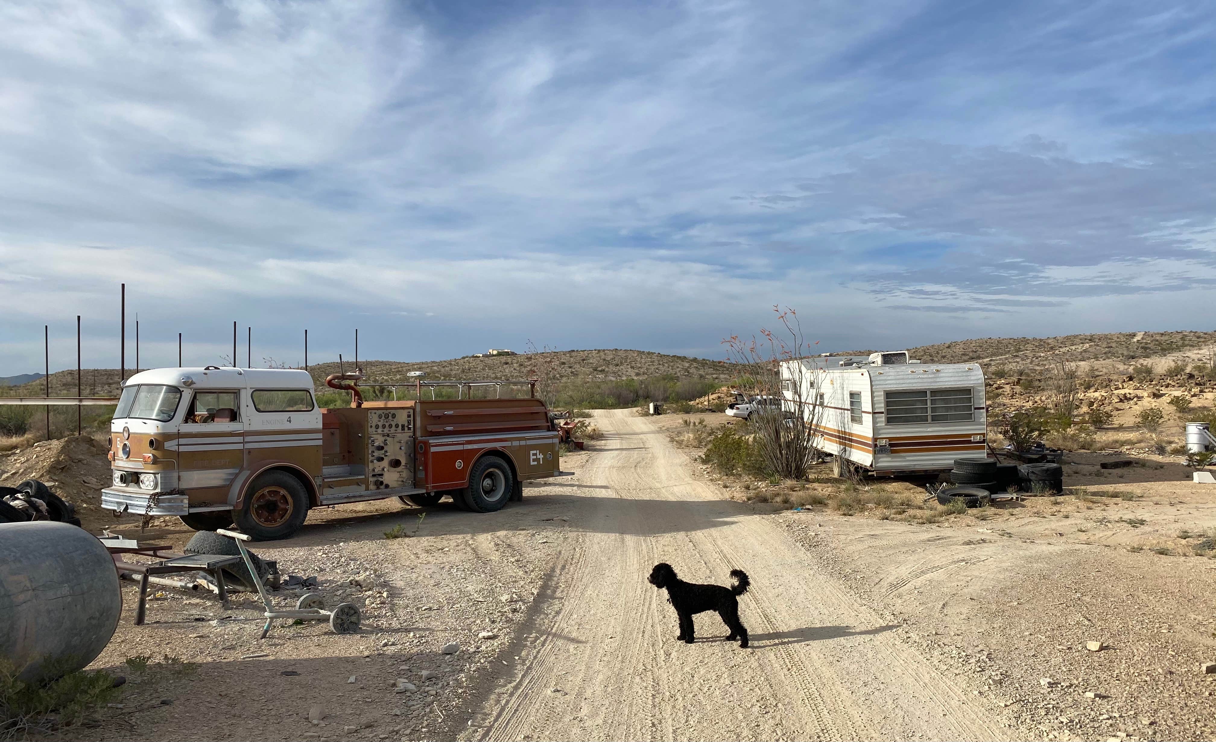 Kathy L.'s photo of camping with pets at BJs RV Park near Terlingua, TX