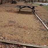 Review photo of Blanchard Springs Campgrounds by Crystal C., April 28, 2021