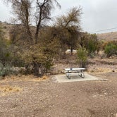 Review photo of Davis Mountains State Park Campground by Kathy L., April 28, 2021