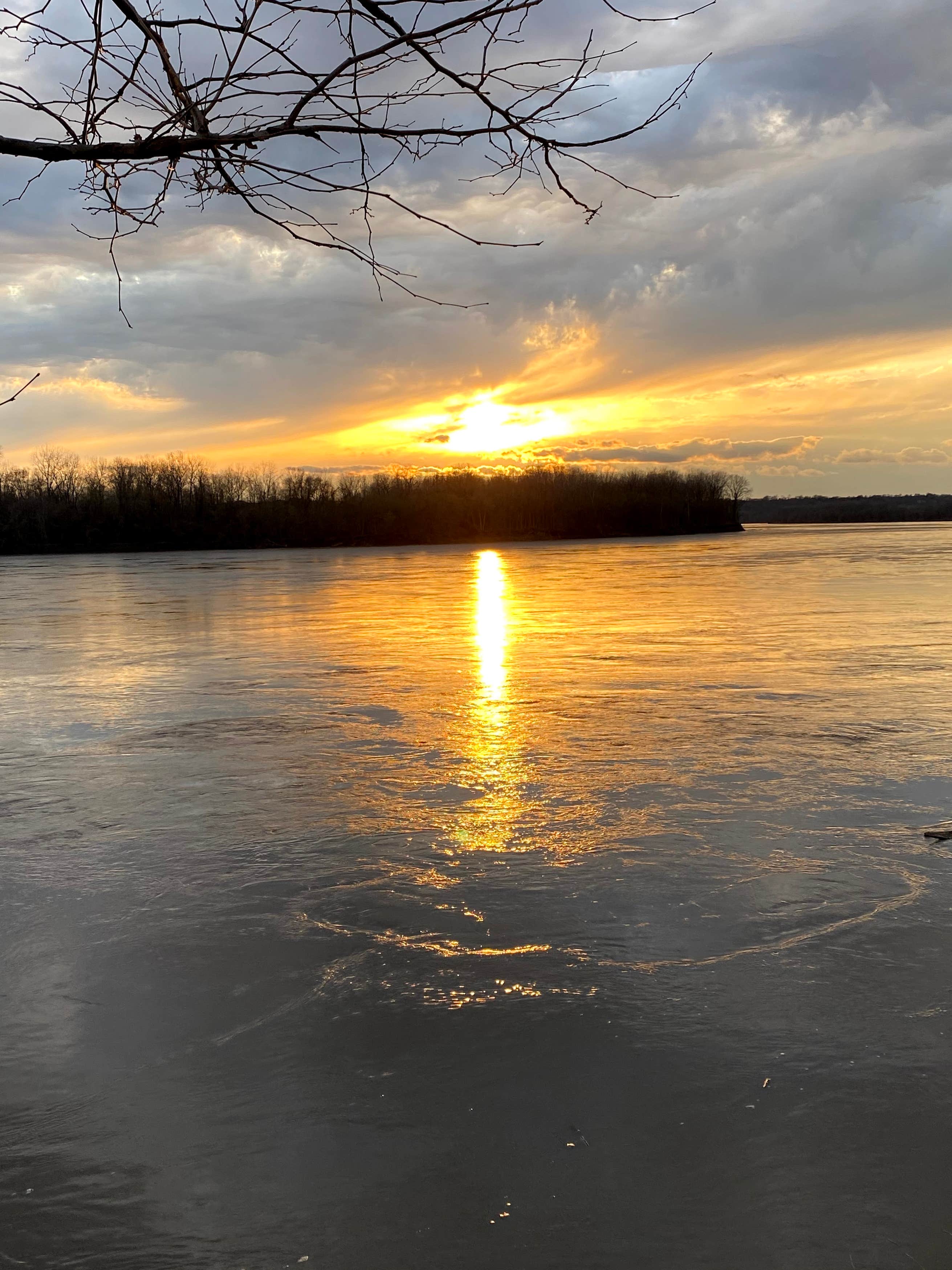 Cooper’s Landing Campgrounds and Marina The Dyrt