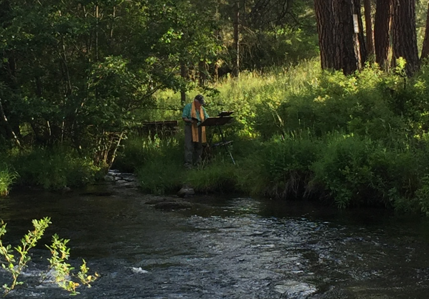Camper submitted image from Allen Springs Campground - 2