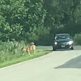 Review photo of Loud Thunder Forest Preserve by Julie , April 29, 2021