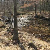 Review photo of Turnipseed Campground by Asher K., June 1, 2018