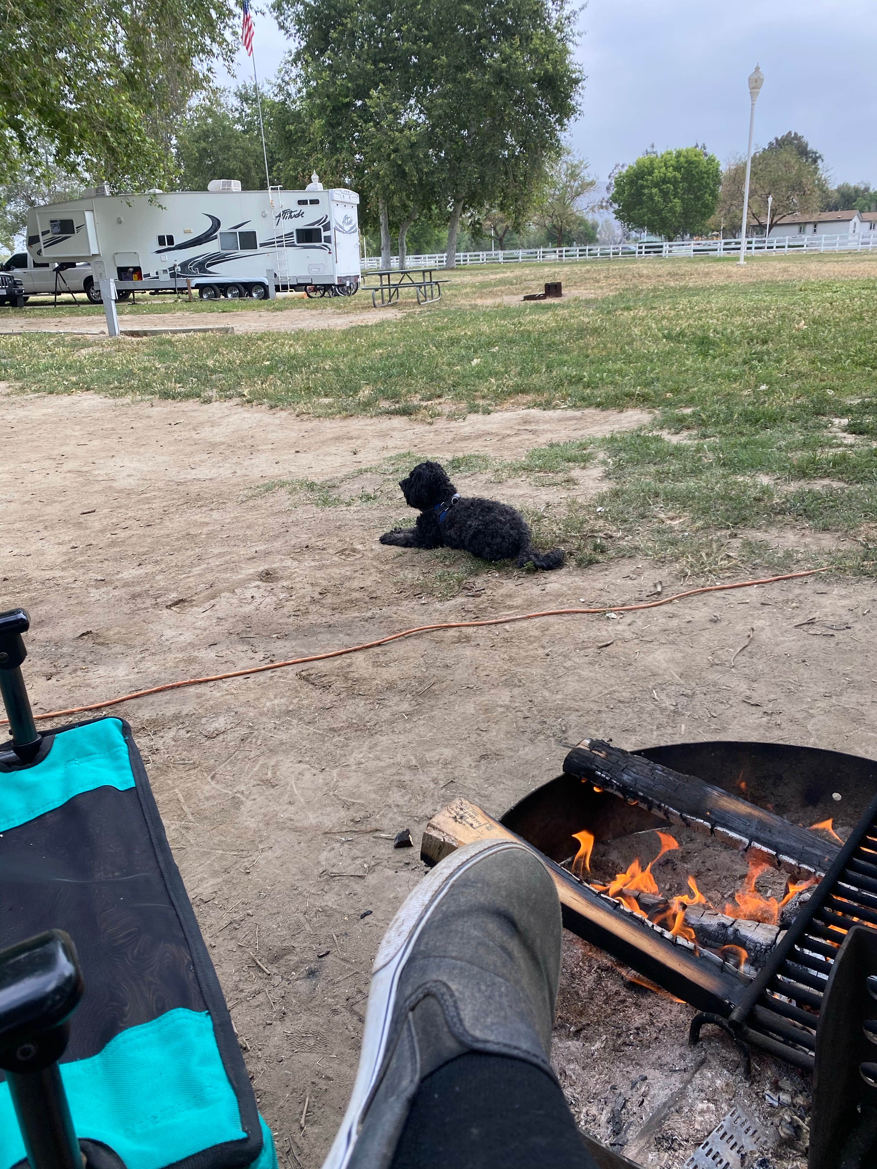 Camper submitted image from Limber Pine Bench Campground - 1