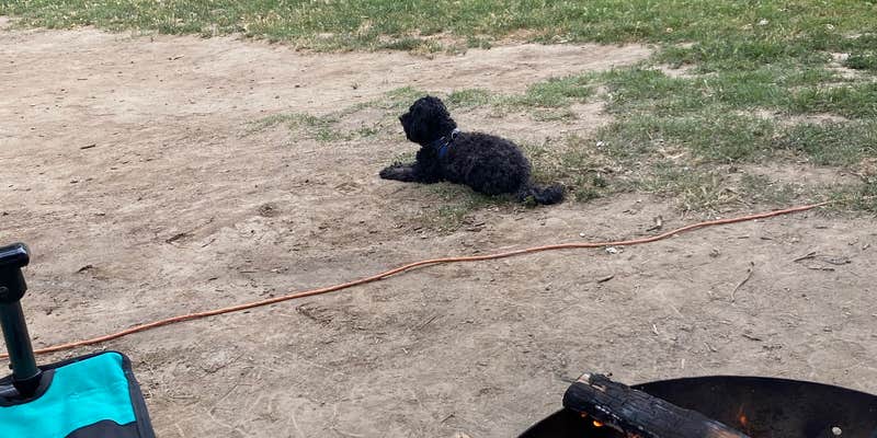 Camper submitted image from Limber Pine Bench Campground