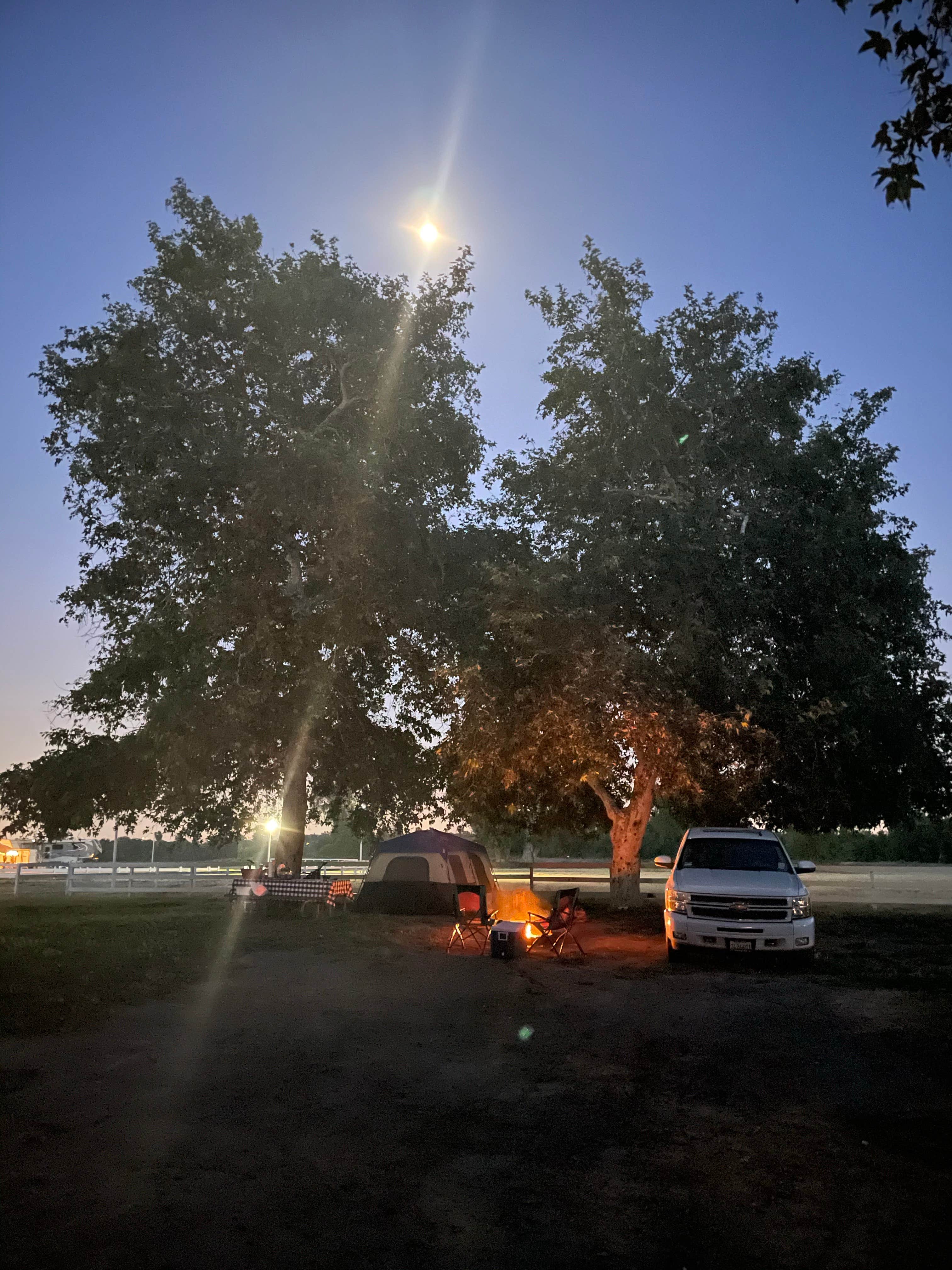 Andy D.'s photo of tent camping at Limber Pine Bench Campground near Running Springs, CA