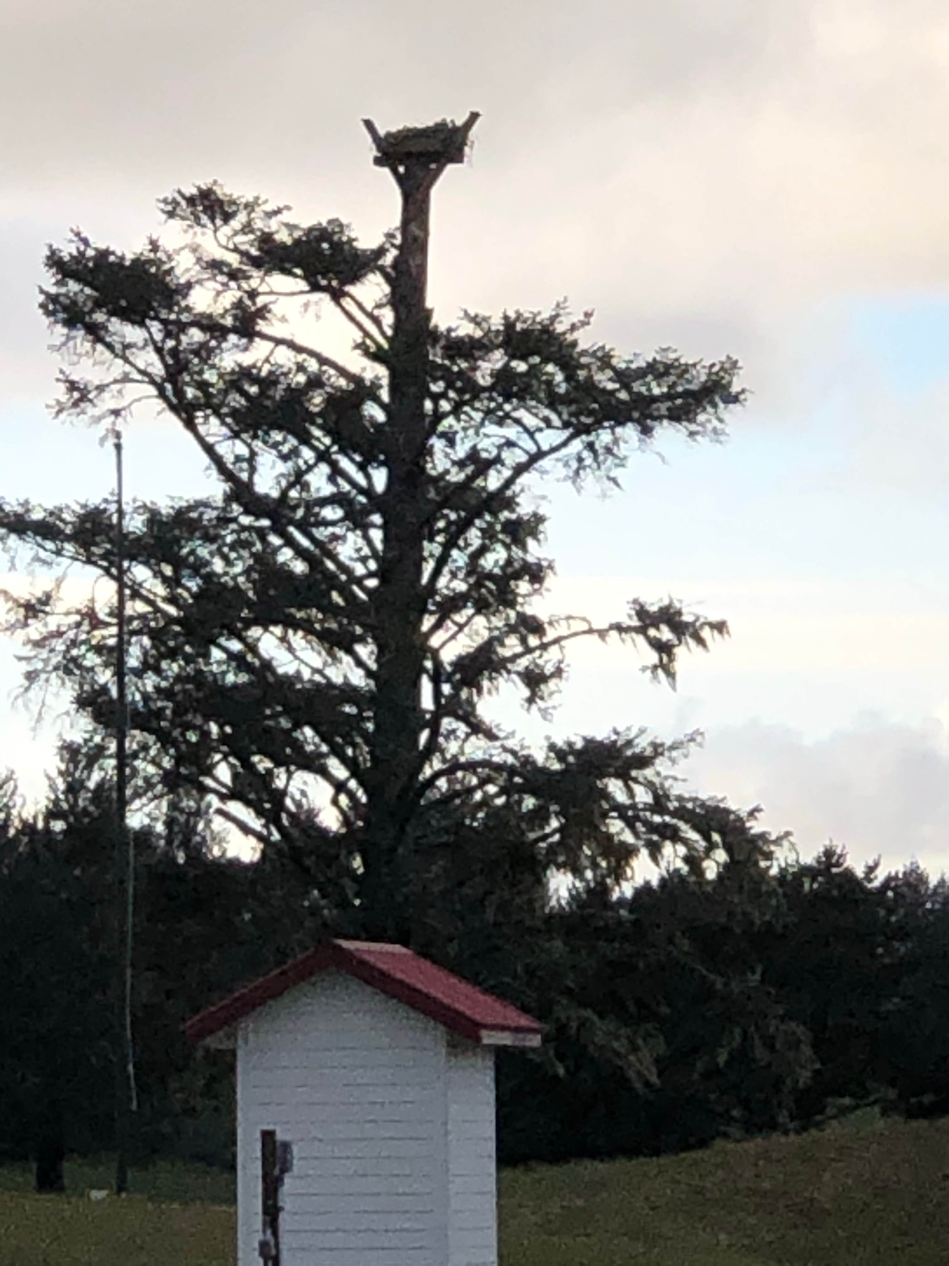 Camper-submitted photo at Camp Rilea Military Campground near Astoria, OR