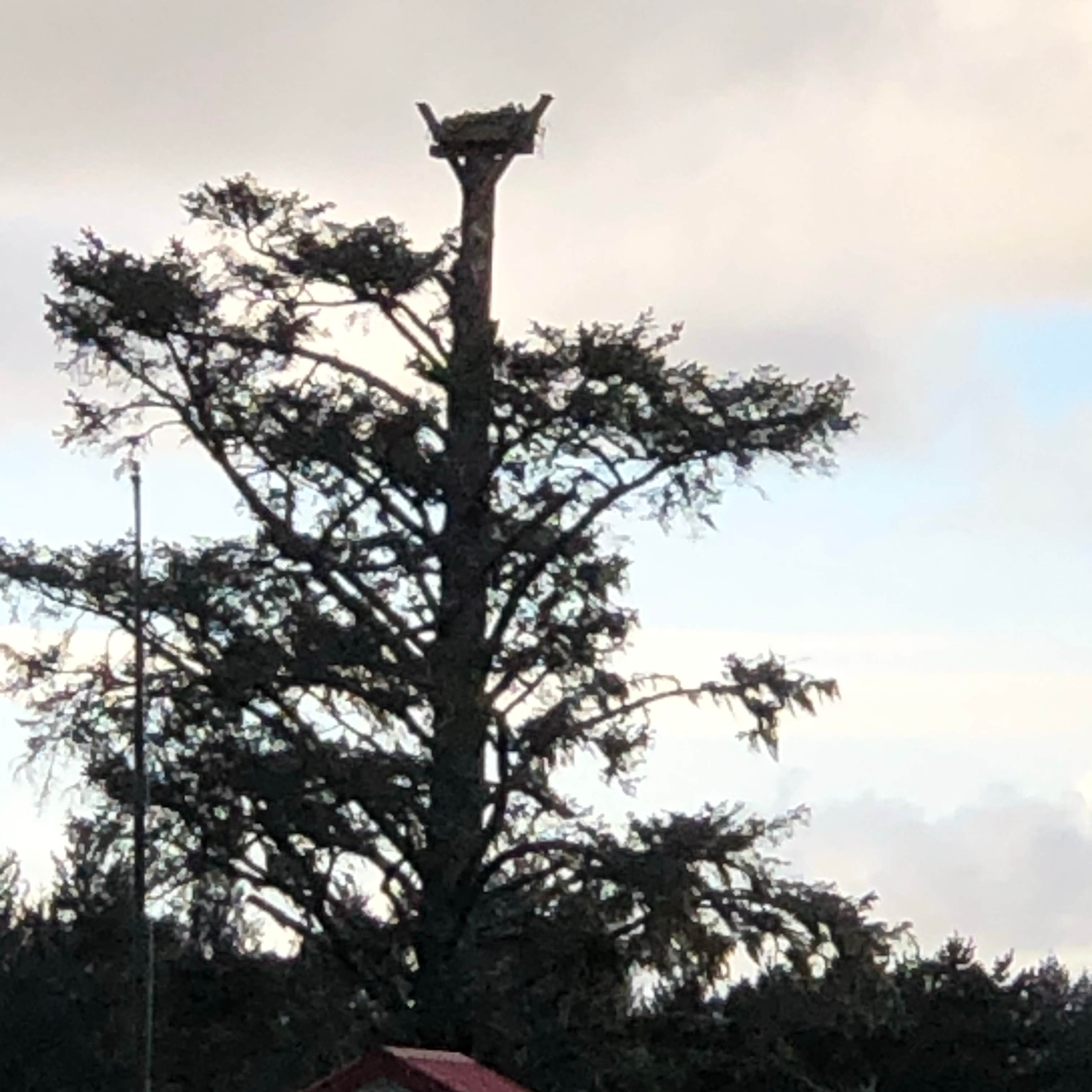 Camp Rilea Camping The Dyrt