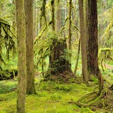 Review photo of Sol Duc Hot Springs Resort Campground — Olympic National Park by Alex T., April 29, 2021